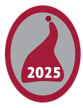 Hopeinen tonttumerkki 2025